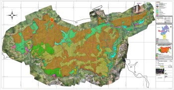 Licenciamento ambiental consultoria