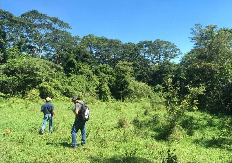 Tipologias De Licenças Ambientais Emitidas Pela Secretaria Do Clima, Meio Ambiente E Sustentabilidade - Seclimas De Campinas