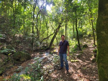 Consultoria ambiental e florestal