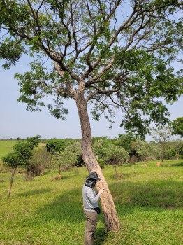 Consultoria Licenciamento Ambiental