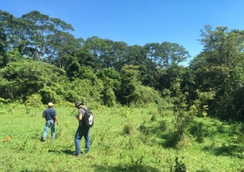 Empresa de diagnóstico ambiental